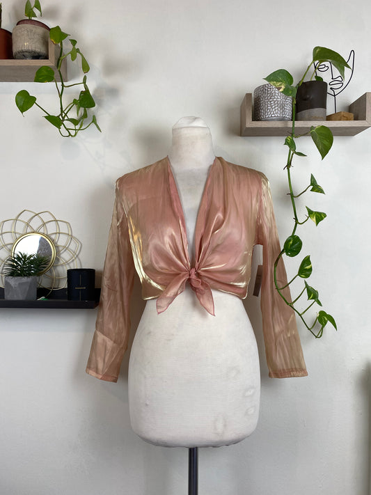 Fairy iridescence sheer champagne top