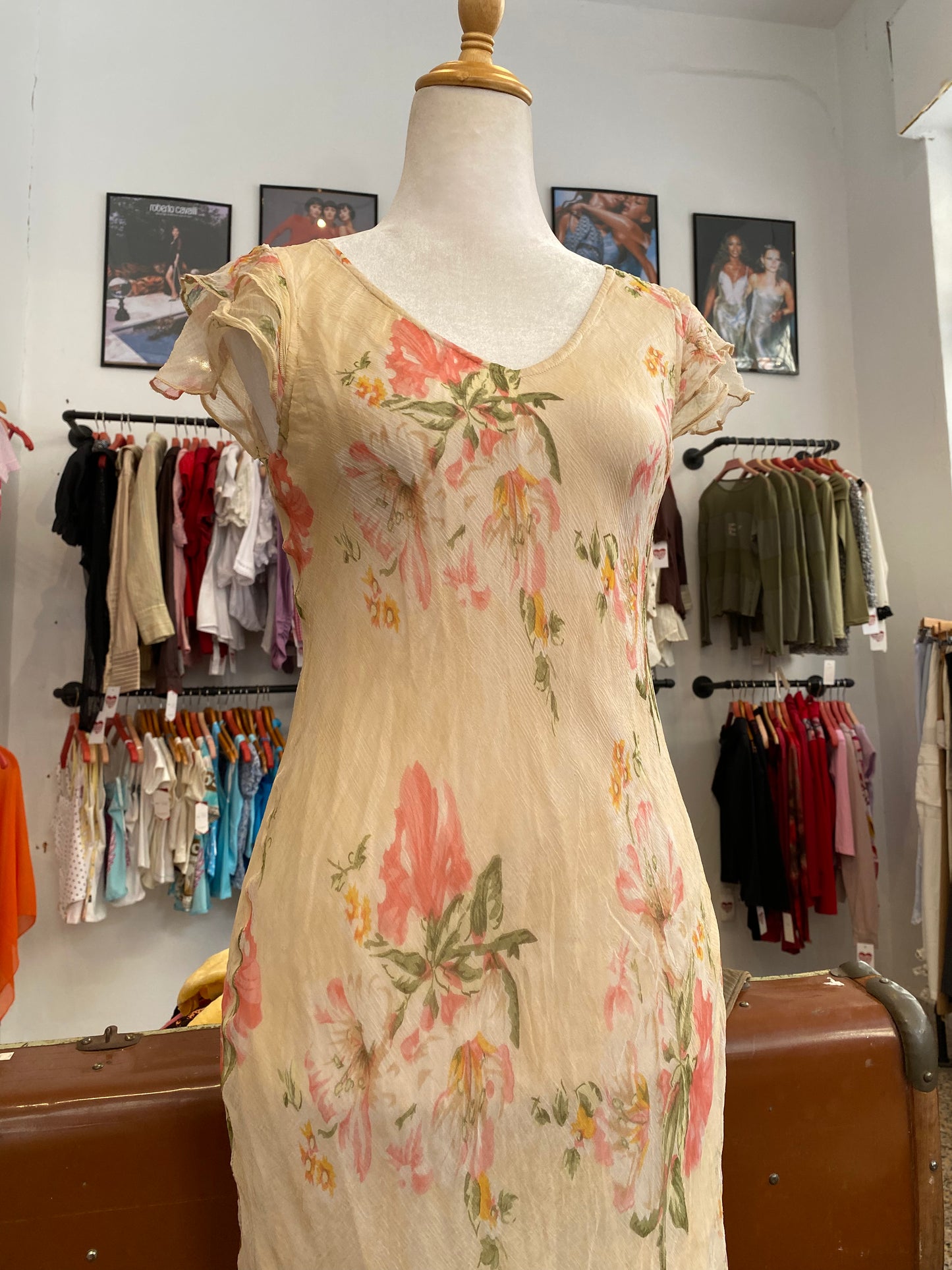 The Rosewater Dream Dress