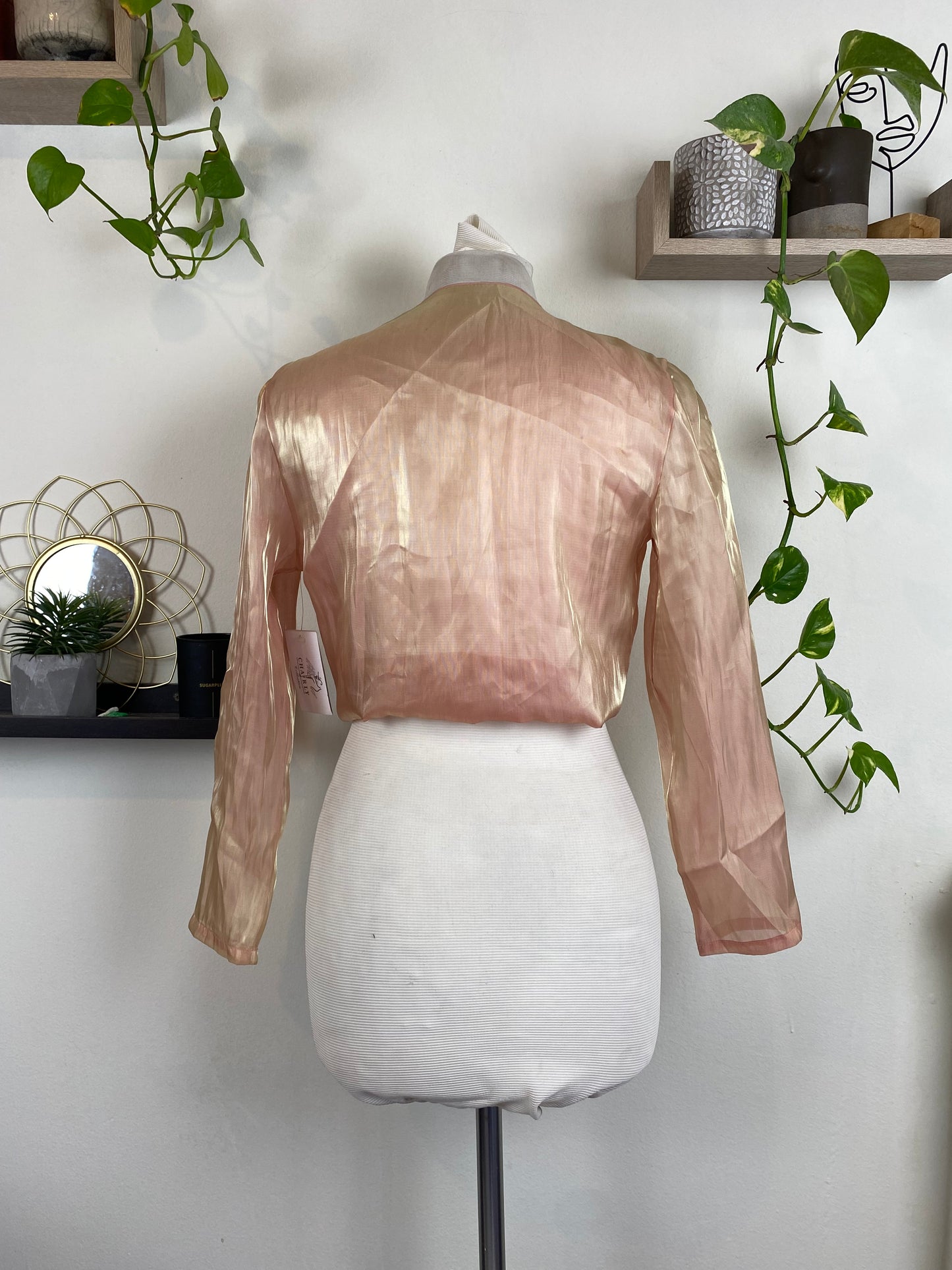 Fairy iridescence sheer champagne top