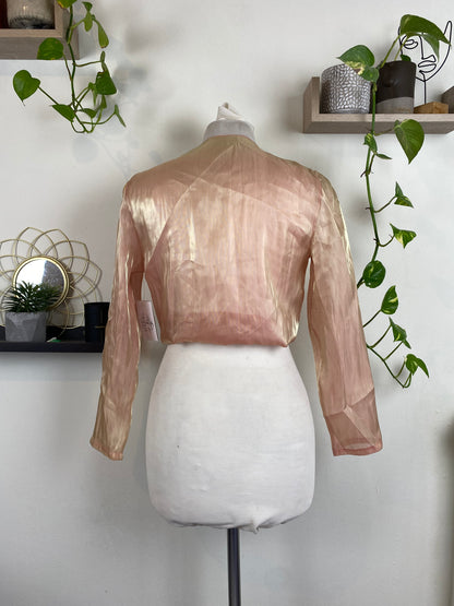 Fairy iridescence sheer champagne top