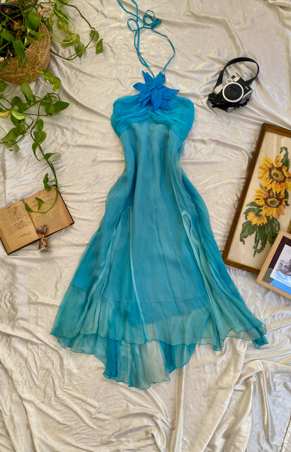 The “ ocean” dress