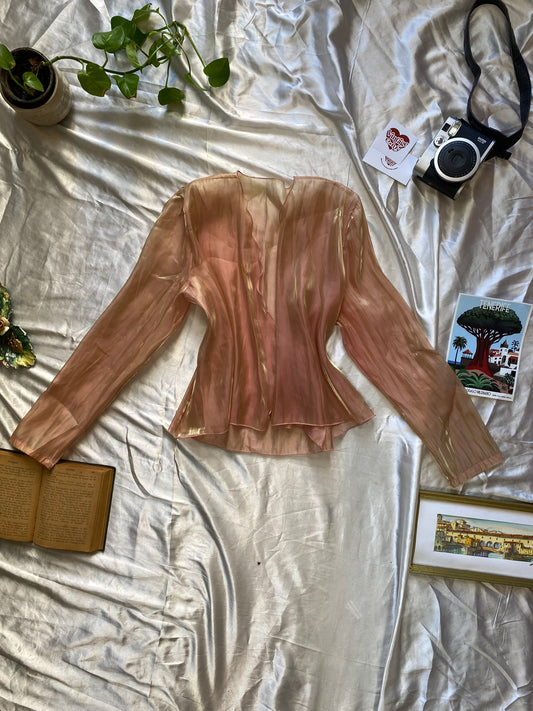 Fairy iridescence sheer champagne top