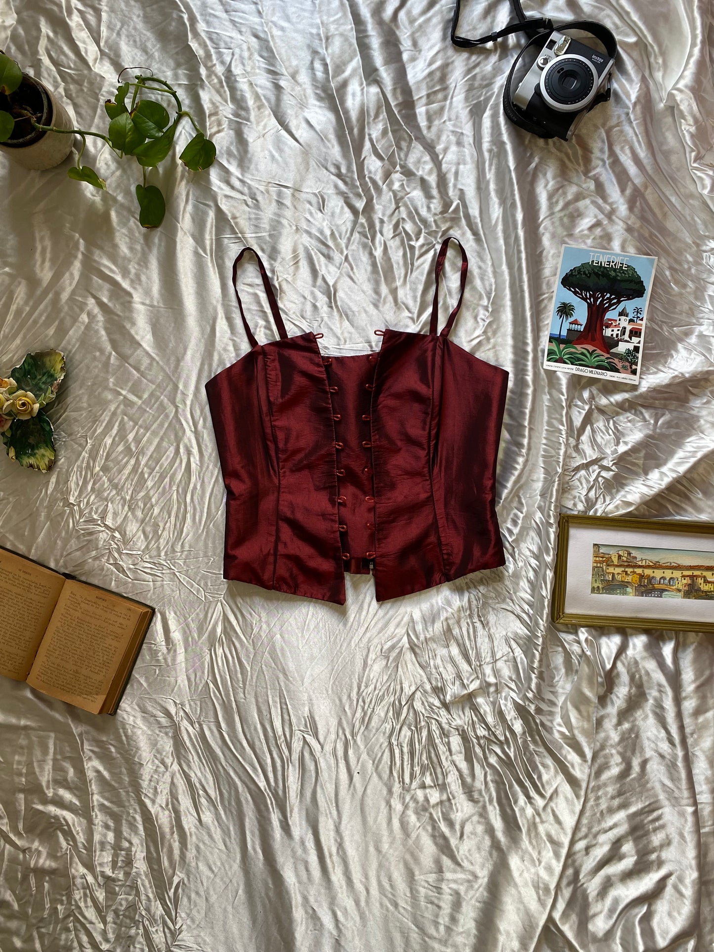 Liquid organza cherry corset 🍒