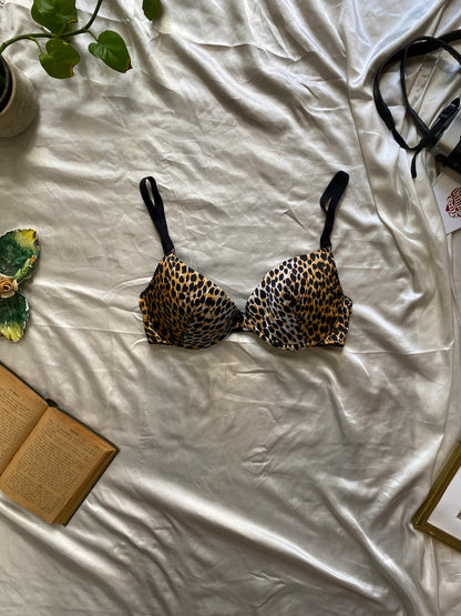 Dolce & Gabbana bra 80B