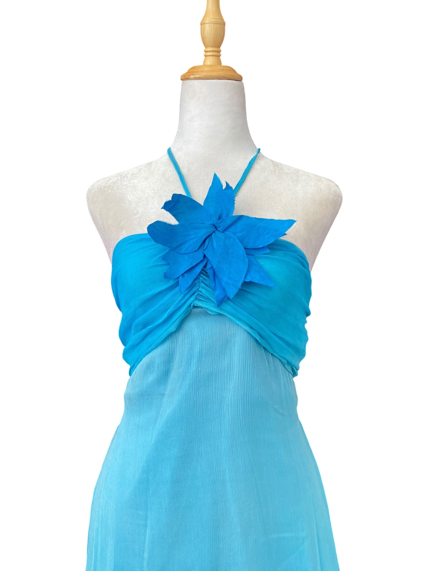 The “ ocean” dress