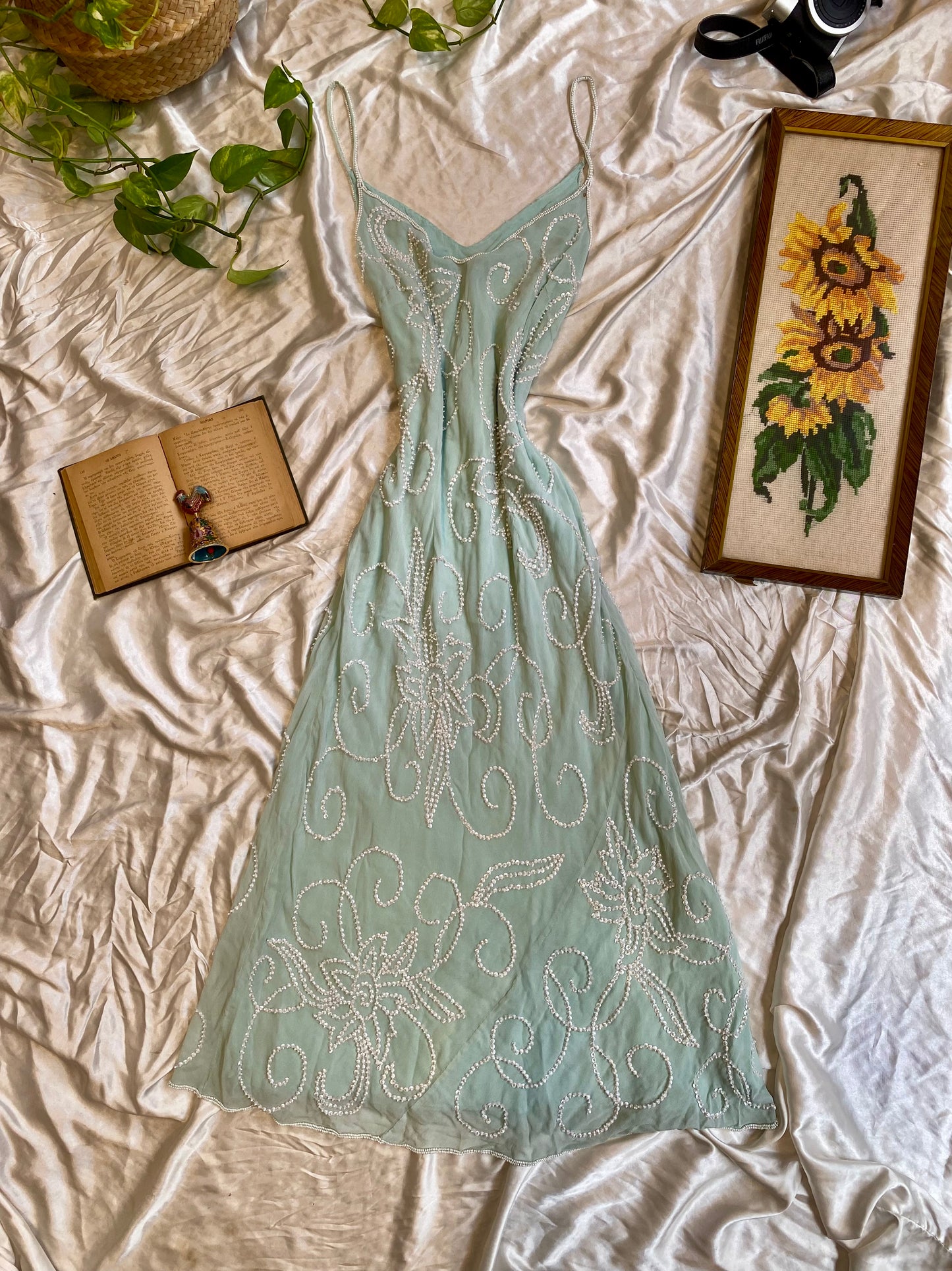 The princess baby blue dress